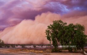 Weather Alert Issued for Dust Storms Affecting Al Hajar Mountains