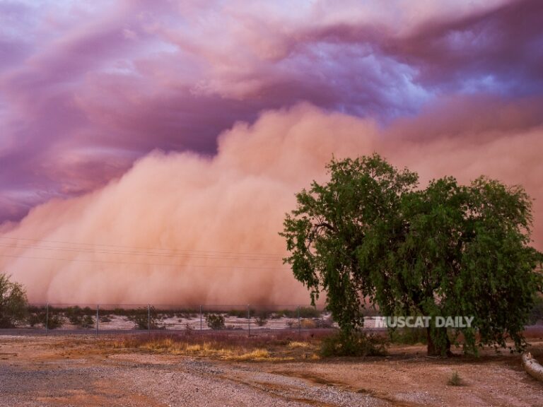 Weather Alert Issued for Dust Storms Affecting Al Hajar Mountains