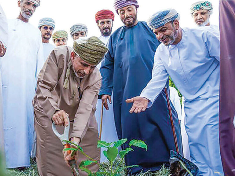 Dhofar offers up to 100% support for Arabian coffee cultivation