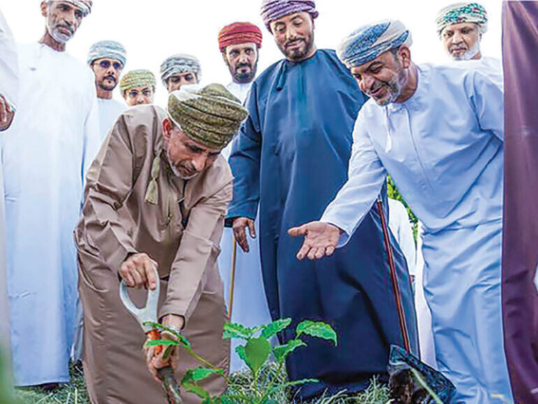 Dhofar offers up to 100% support for Arabian coffee cultivation