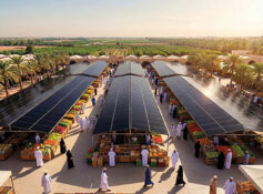 Buraimi agricultural city