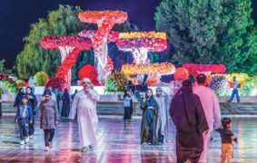 Muscat Nights 2026 proposals