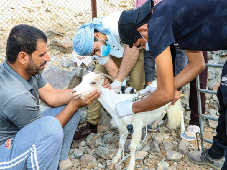 MAFWR launches national livestock vaccination campaign