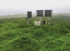 Ministry maps Dhofar’s fog-rich sites for future water harvesting
