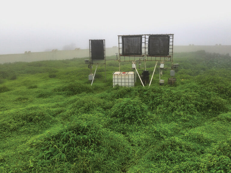 Ministry maps Dhofar’s fog-rich sites for future water harvesting