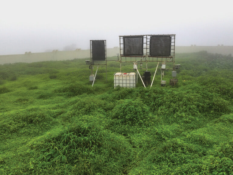 Ministry maps Dhofar’s fog-rich sites for future water harvesting