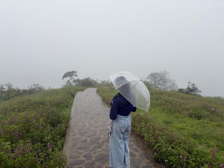 beyond the mist