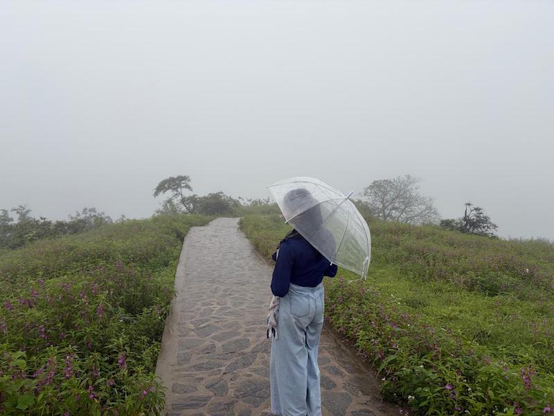 Adventurous tourists enjoy Salalah beyond the mist
