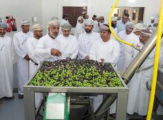 New olive press boosts farmers in Jabal Akhdar