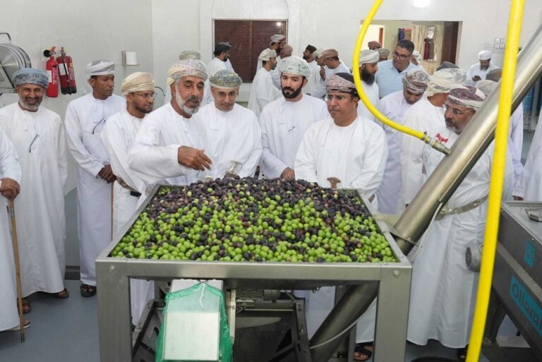 New olive press boosts farmers in Jabal Akhdar