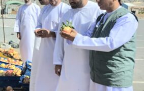 Consumer checks step up during Jabal Akhdar Pomegranate Festival