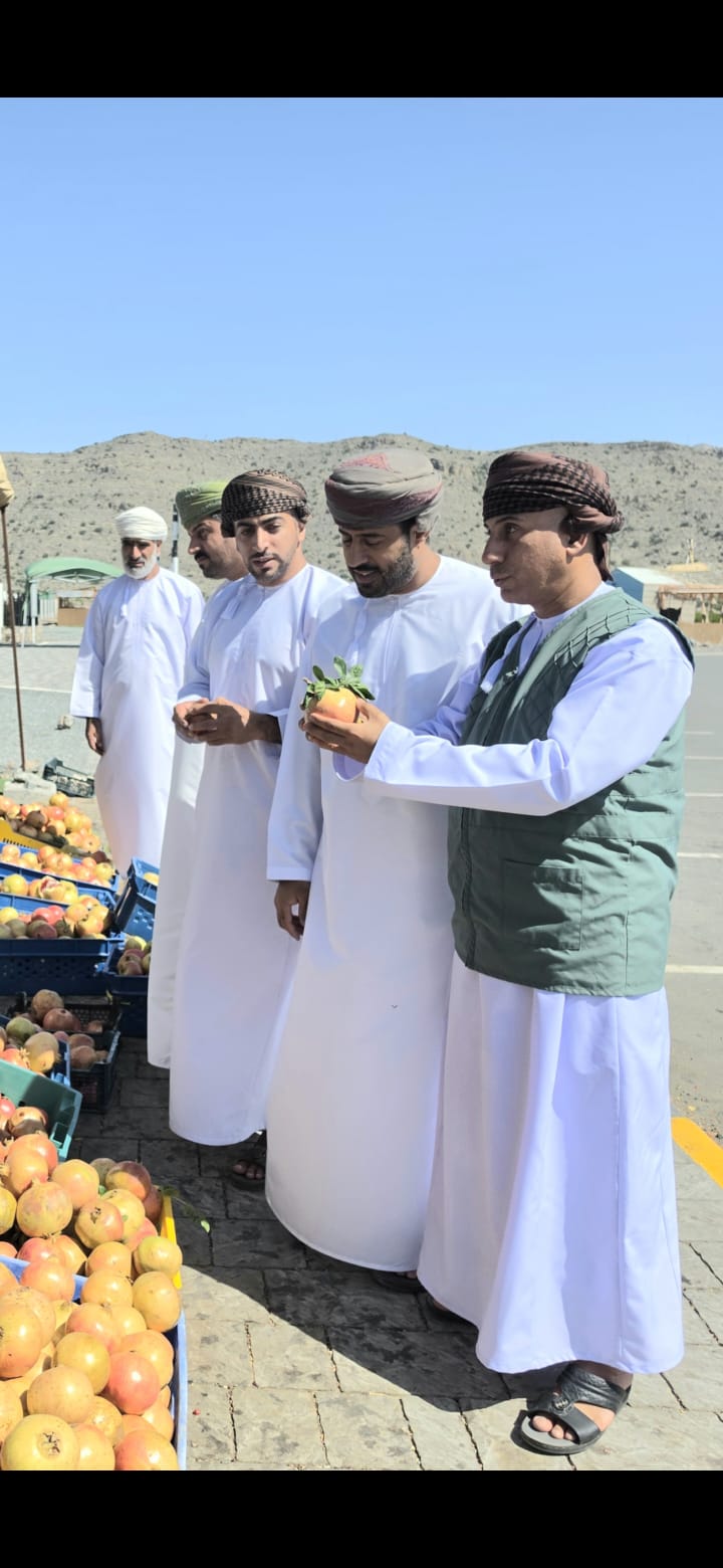 Consumer checks step up during Jabal Akhdar Pomegranate Festival