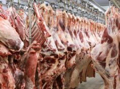 Al Kamil Wal Wafi Municipality destroys 7,400 kg unfit food
