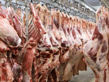 Al Kamil Wal Wafi Municipality destroys 7,400 kg unfit food