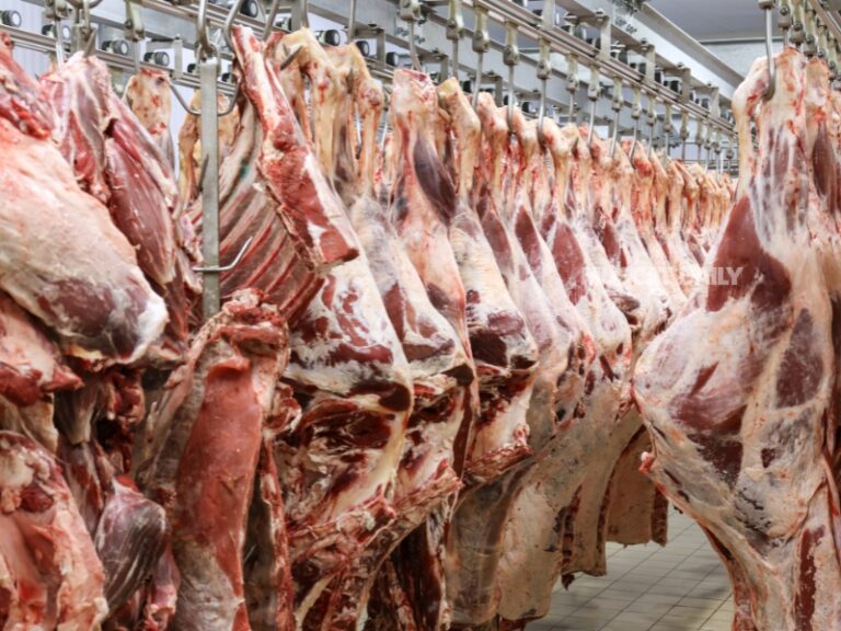 Al Kamil Wal Wafi Municipality destroys 7,400 kg unfit food
