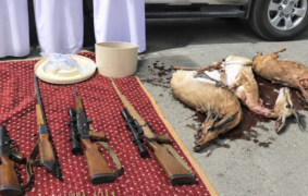 Three held for illegal hunting of Arabian gazelles
