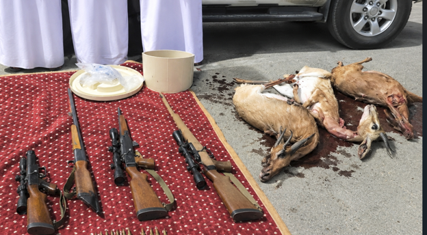 Three held for illegal hunting of Arabian gazelles