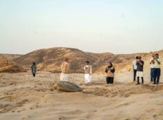 EA releases 57,744 turtle hatchlings into the sea in September